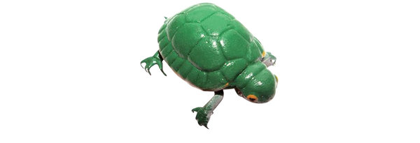 Tiermagnet Schildkröte grün