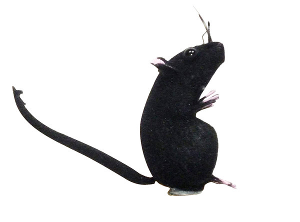 Magnet Maus schwarz, sitzend - Geschenkidee