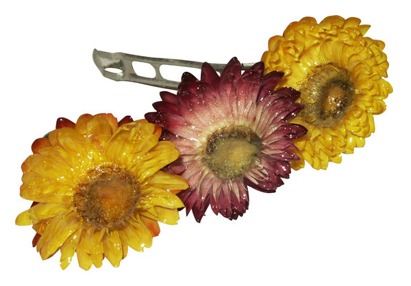 Hübsches Geschenk: Haarspange aus bunten Trockenblumen