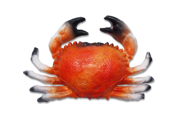Krabbe 21 x 13 cm  - Hohlattrappe