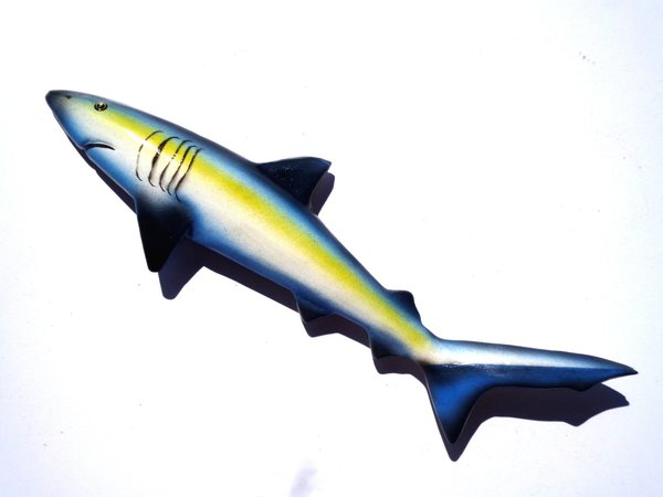 Hai blau lang - Magnet zur Dekoration