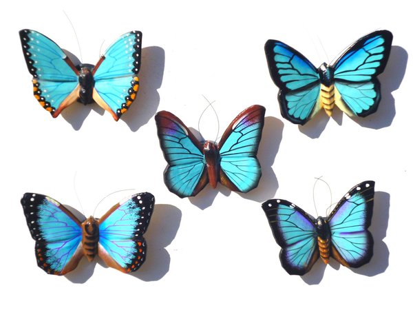 Magnetschmetterlinge blau 5er Set B - Butterfly