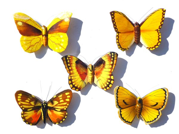 Magnet Schmetterlinge gelb 5er Set C - Magnete
