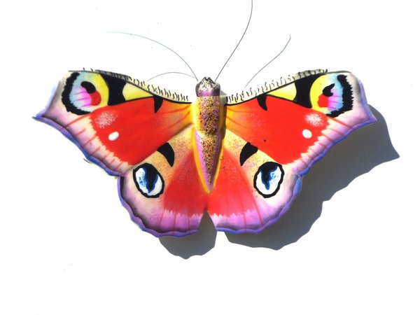 magnetischer Augenfalter - Schmetterling zur Deko