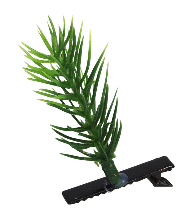 4er Set Fichtenzweg Plant Hairclips - Trend Haarspangen, Green Clips für die Umwelt