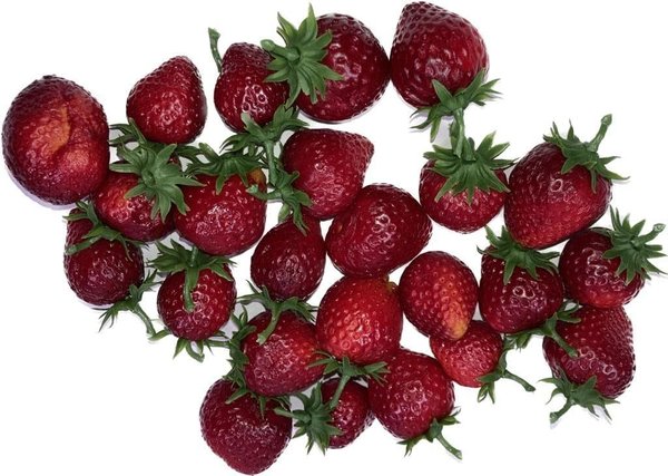 Fake Food Erdbeeren - Obstattrappen zur Deko