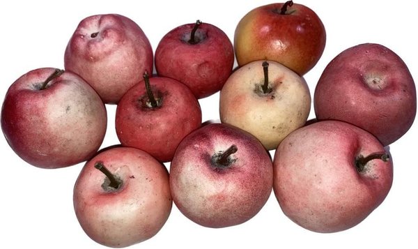 Apfel Kunststoffattrappen - Obstattrappen zur Deko